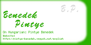 benedek pintye business card